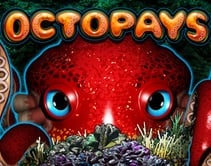 Octopays Octopays